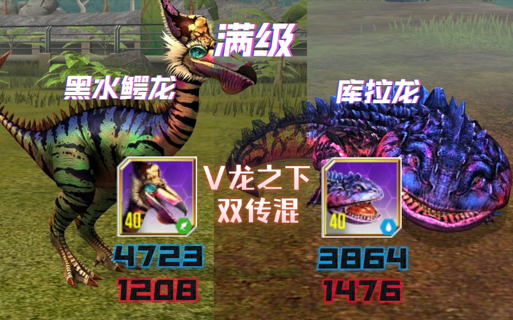 毕业双传混——库拉龙和黑水鳄龙，比肩V龙的力量！
