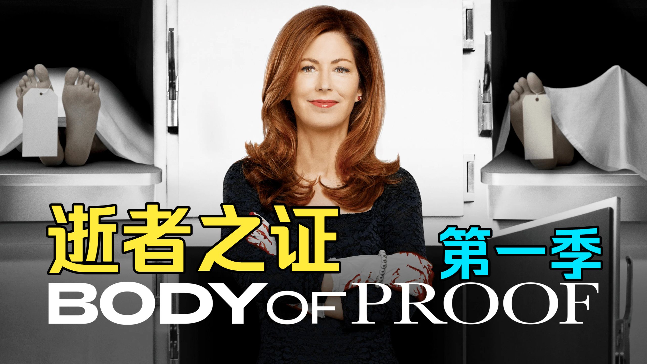 探案悬疑《逝者之证 第一季》高清，非常好看