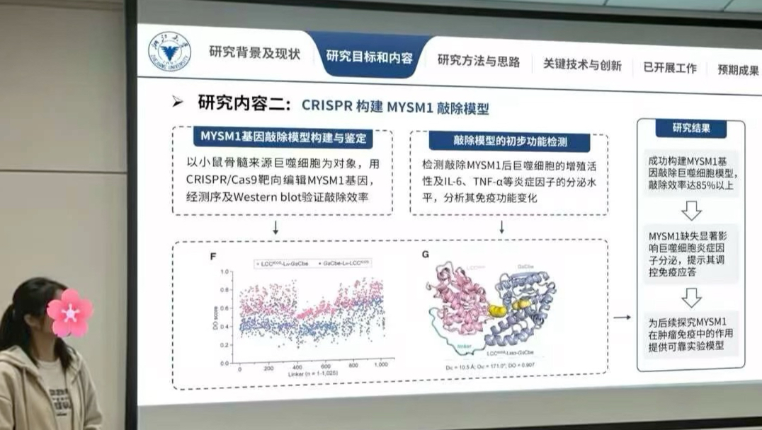 这才是导师爱看的医学生组会文献汇报ppt啊！