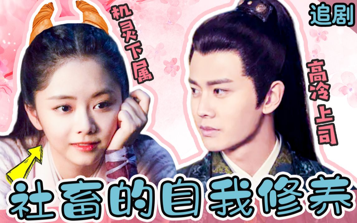 【小姐姐们】大明“Bking”和爱钱小捕快的“真香”爱情，入股不亏！爆笑安利《锦衣之下》
