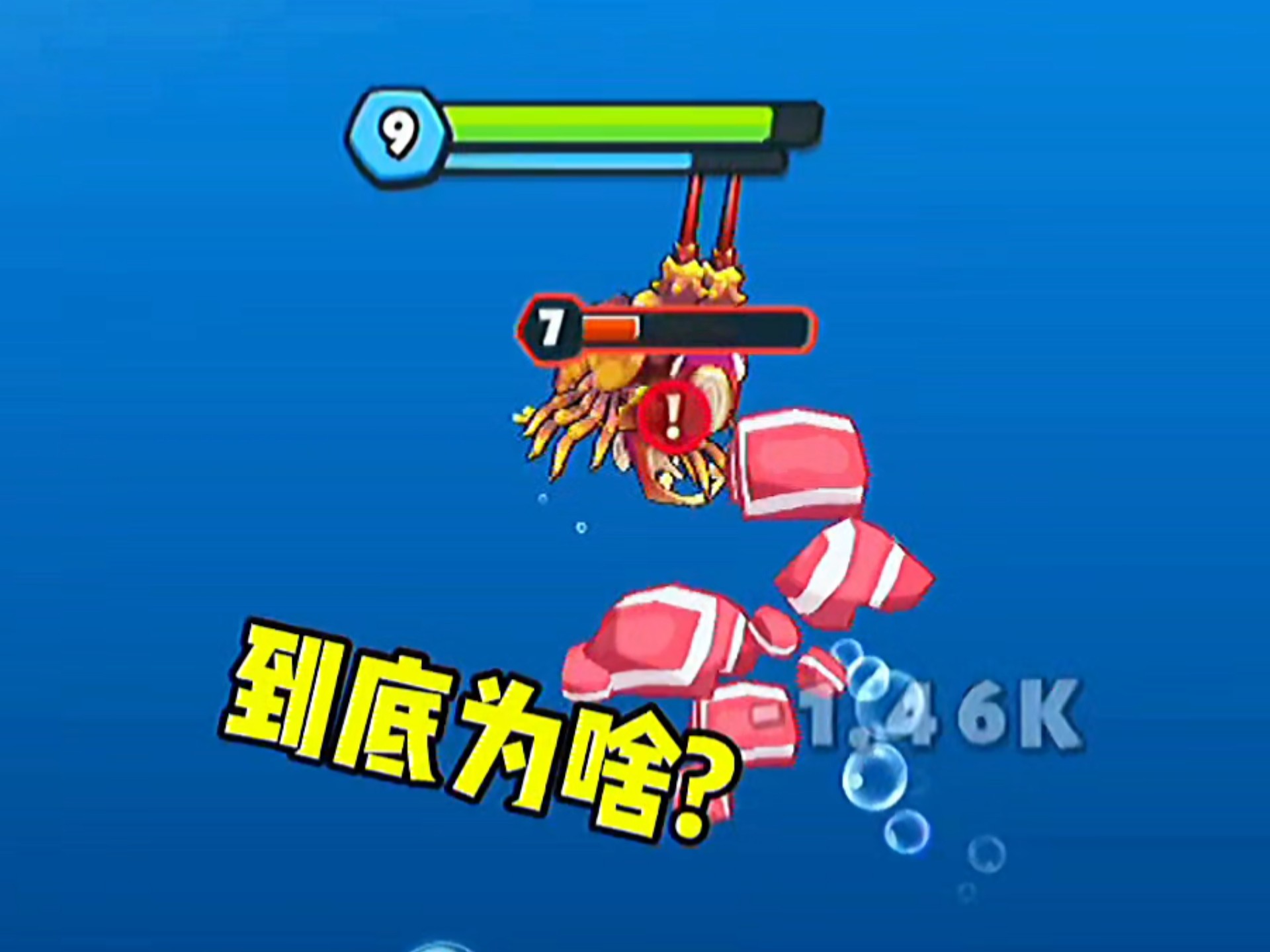 关于第八海域的龙虾，我有问题