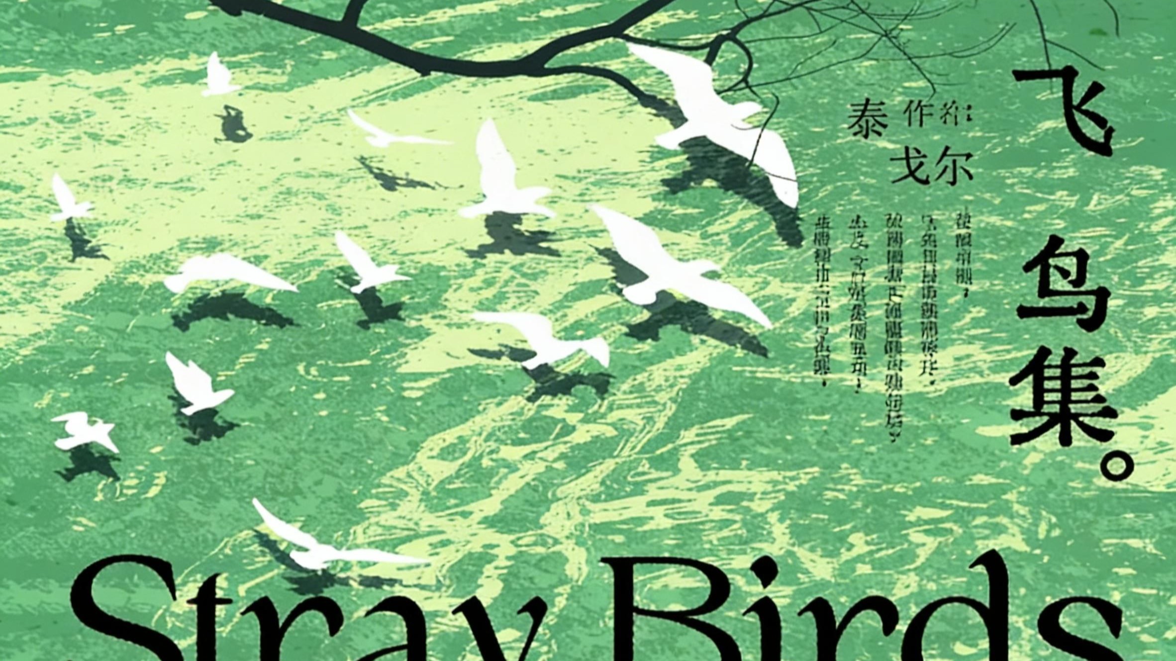 睡前听完一本书，今天我们读 ——《飞鸟集》