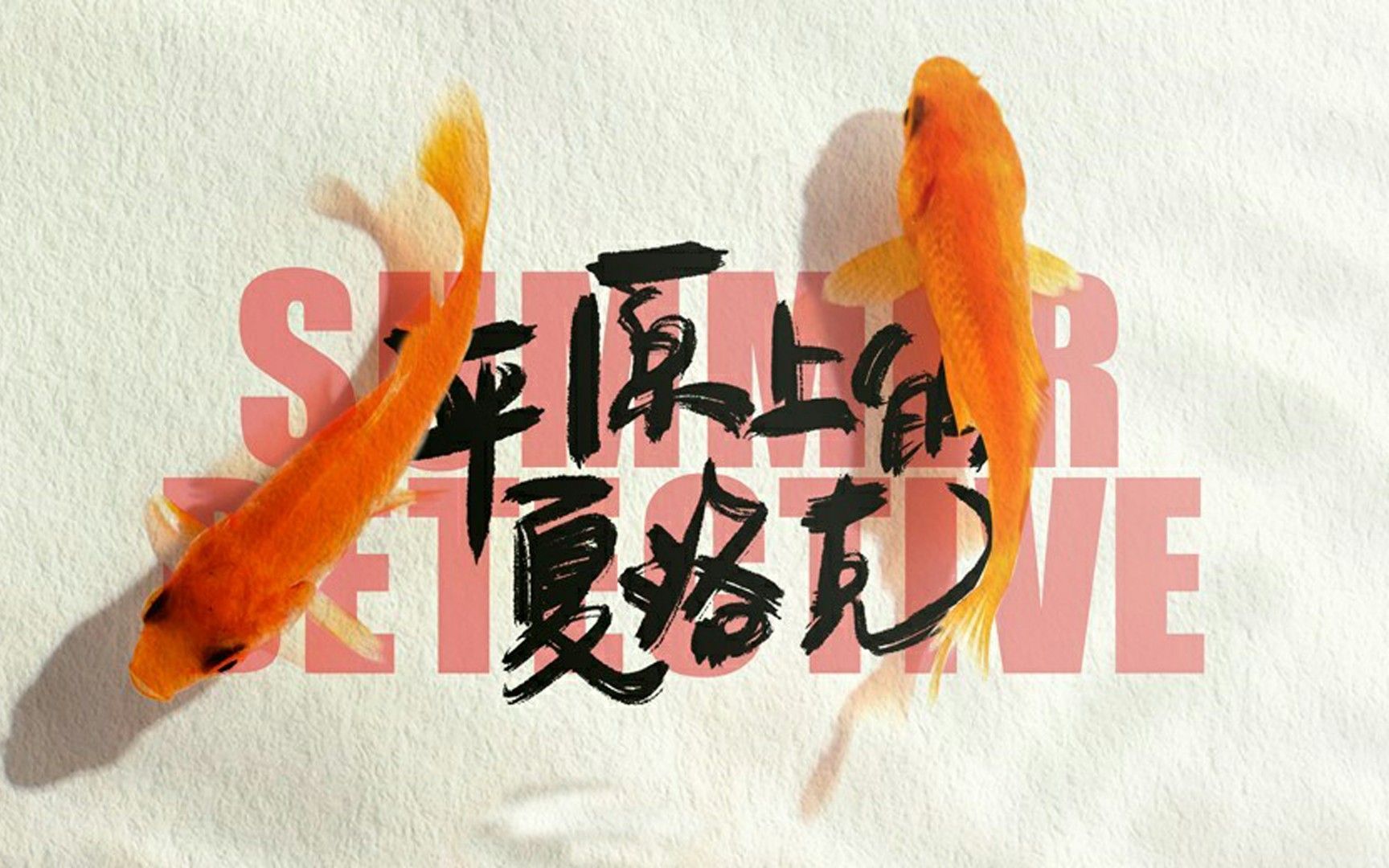 【东倾】《平原上的夏洛克》：豆瓣8.7分，非常冷门的国产片，说透了中国人情冷暖！