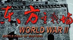 【东方主战场】（已换1080P源）纪念中国抗日战争暨世界反法西斯战争胜利70周年大型电视纪录片（解说：刚强）