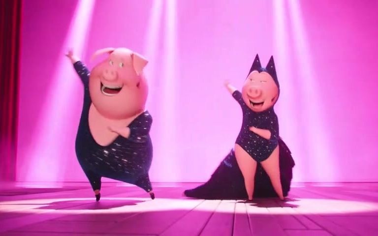 《欢乐好声音》两只猪猪演绎霉霉《Shake it off》