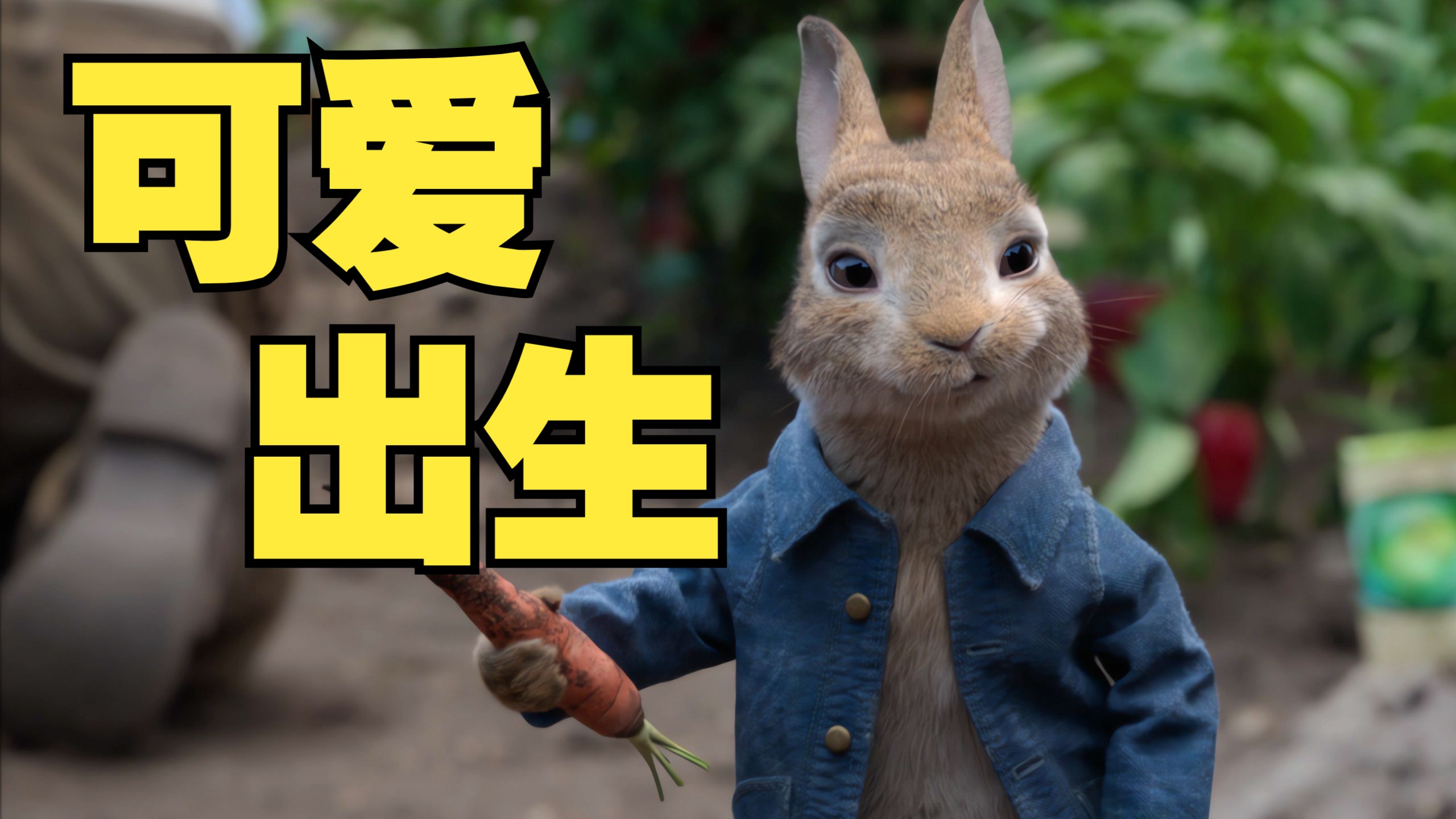 兔子可爱，但很出生！彼得兔居然为了讨人类女孩喜欢去杀人。《彼得兔大电影》