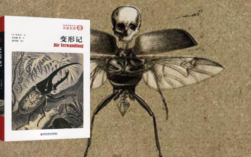 5分钟读完世界经典名著《变形记》它被称为是世上最“残忍”的书