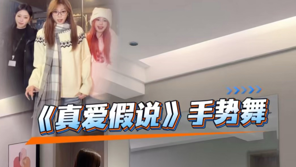 《真爱假说》手势舞