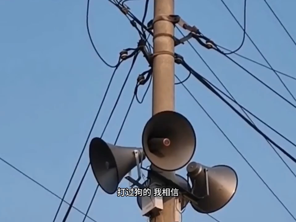 《村长的约定》