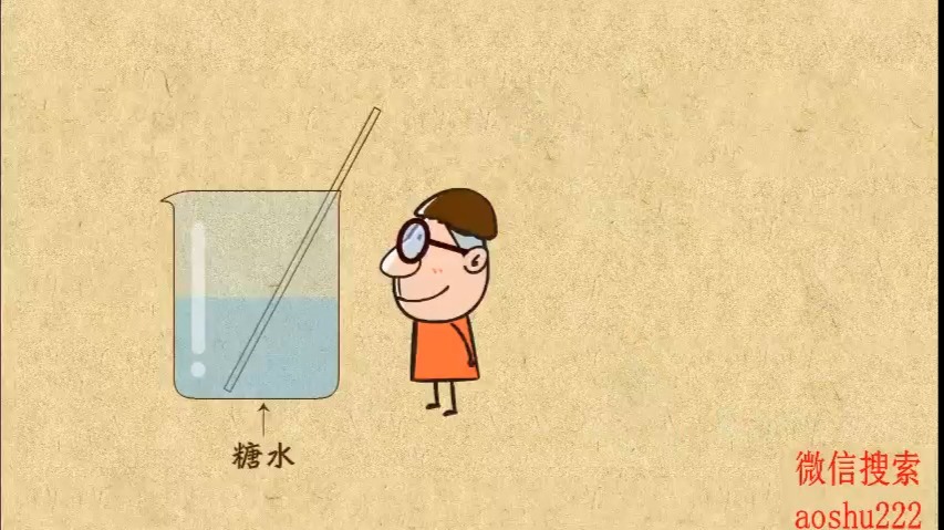 初中化学 12. 溶液