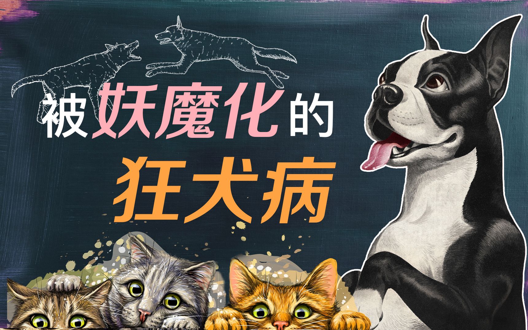 这些关于狂犬病的谣言，我相信你一定听过