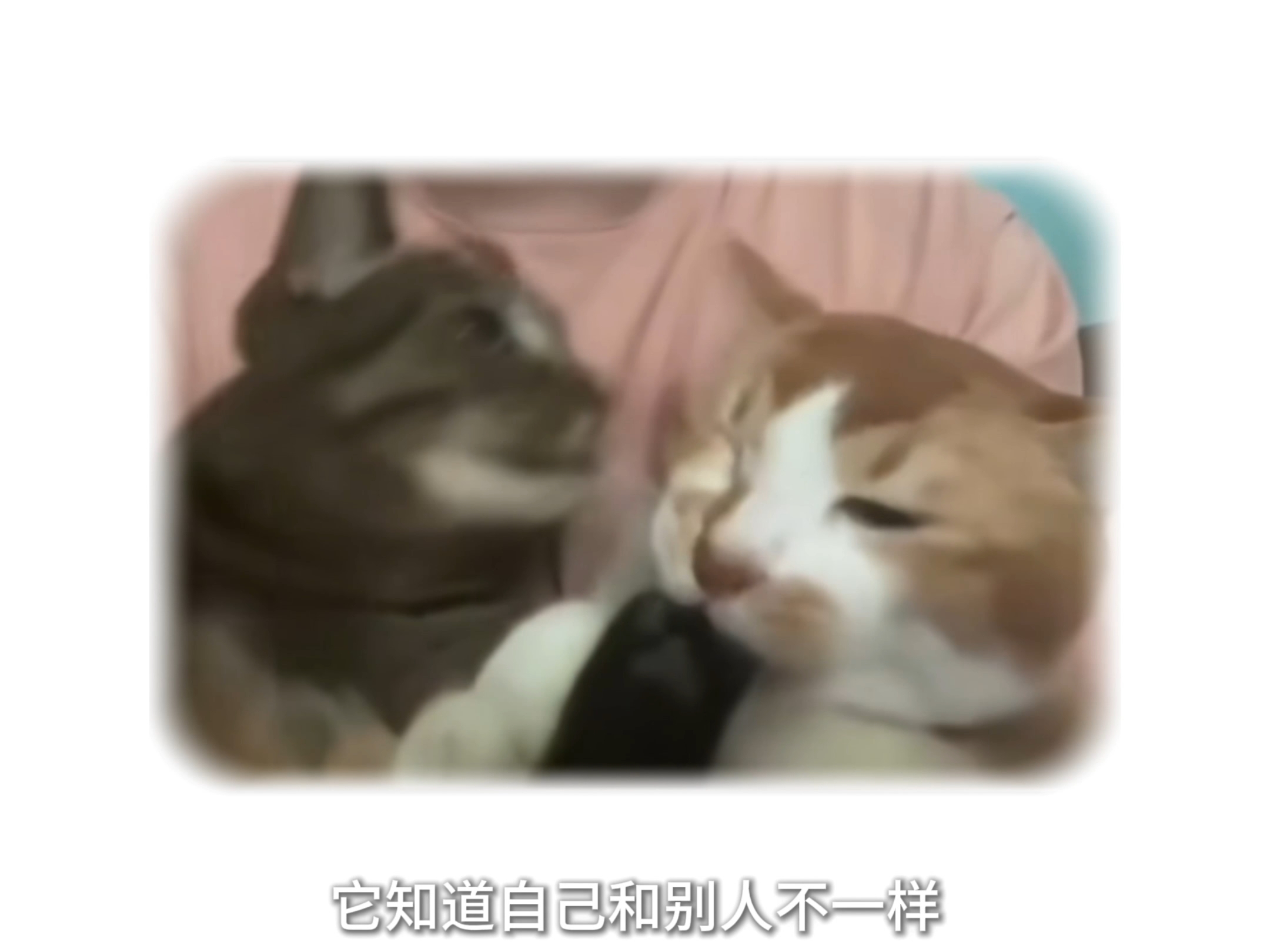 什么是阿斯伯格综合症？
