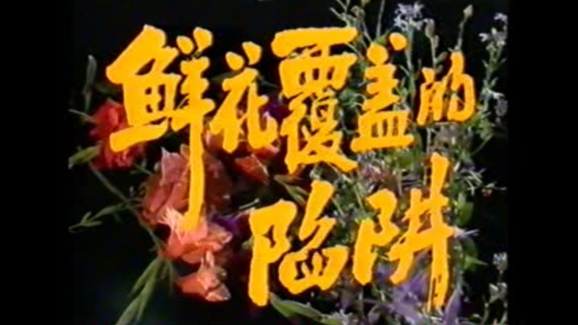 鲜花覆盖的陷阱