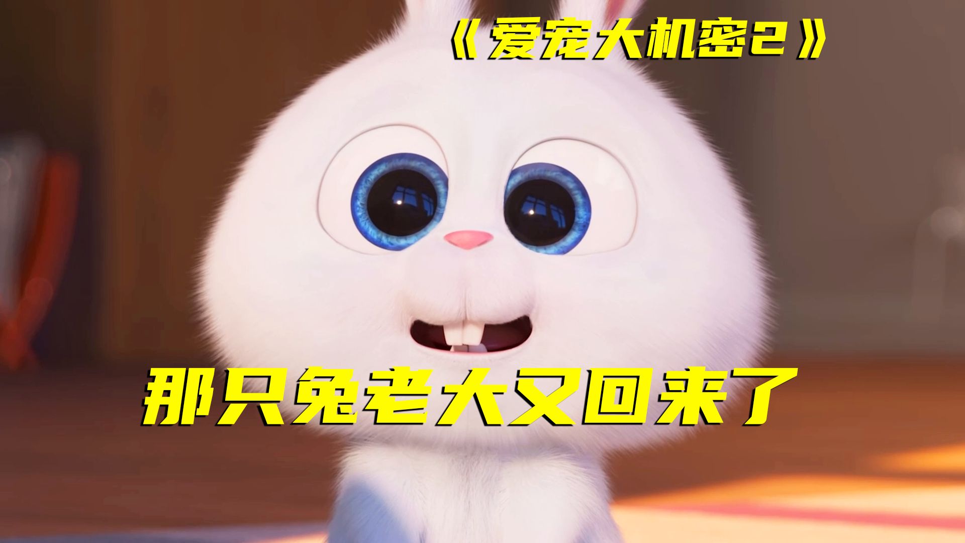 简直是萌宠版玩具总动员！虽然也是经典，但相比还是皮克斯更加精良