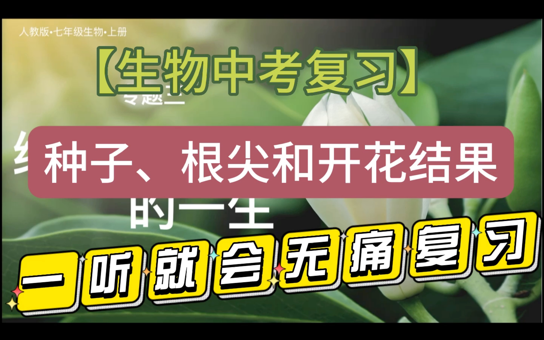 【生物中考复习】专题四：绿色开花植物的一生（1）