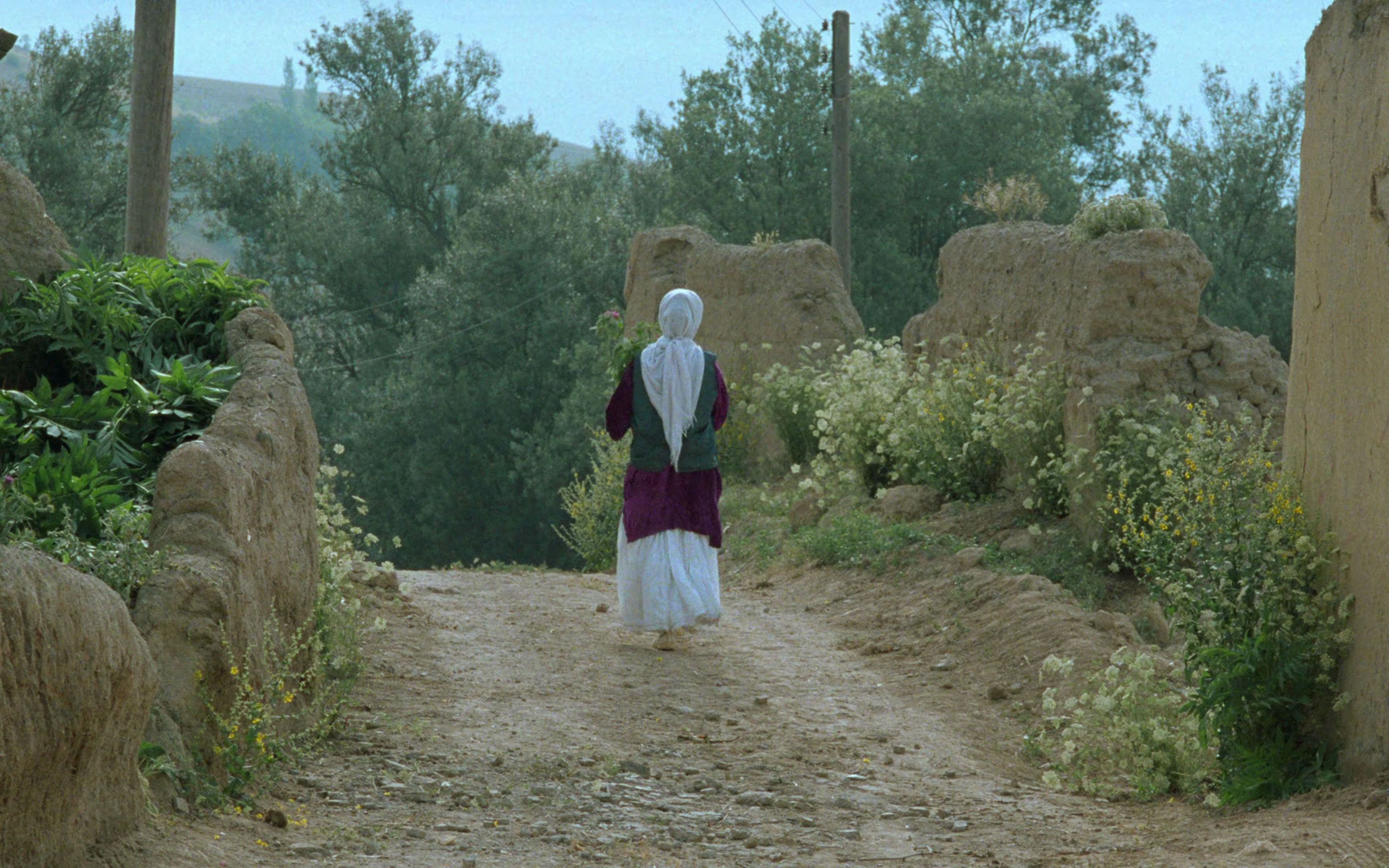《橄榄树下的情人》/穿过橄榄树林/阿巴斯·基亚罗斯塔米/1994
