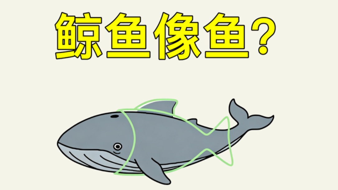 为什么鲸鱼长得像鱼？