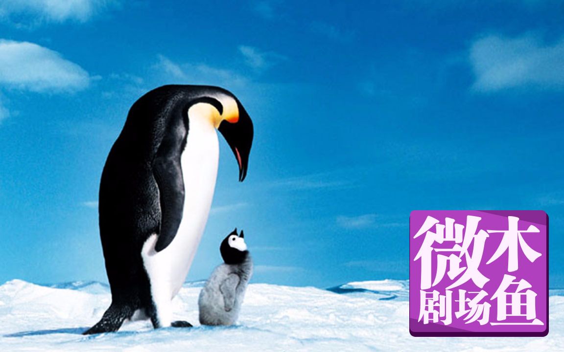 【木鱼微剧场】《帝企鹅日记》