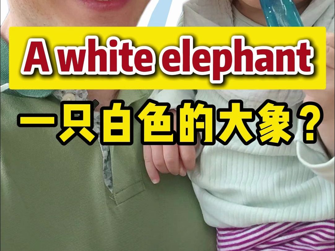“a white elephant”是什么意思？