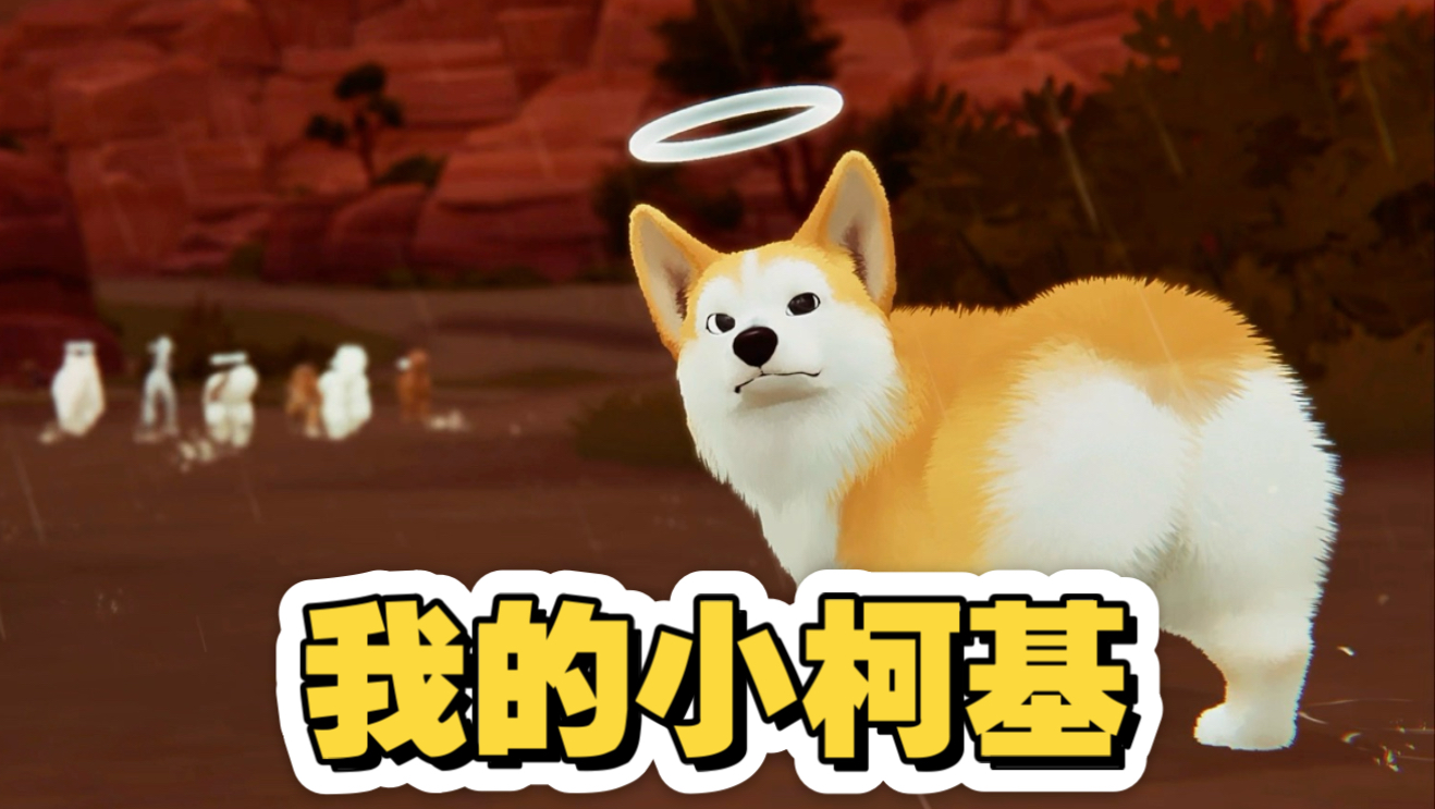 朋友们！养猫吧！！！