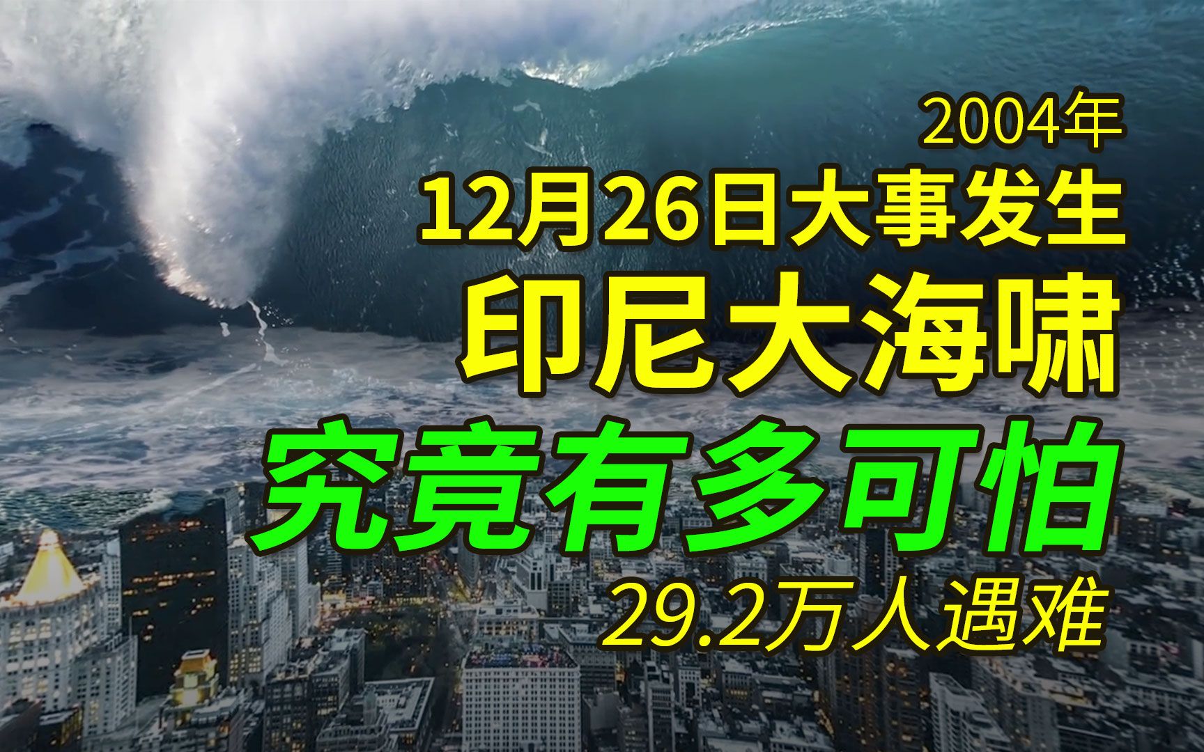 印度洋海啸到底有多可怕，29万人遇难，51万人受伤，想起都会打颤