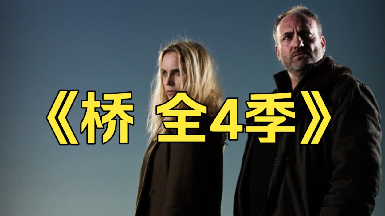 《瑞典悬疑探案  1-4季》