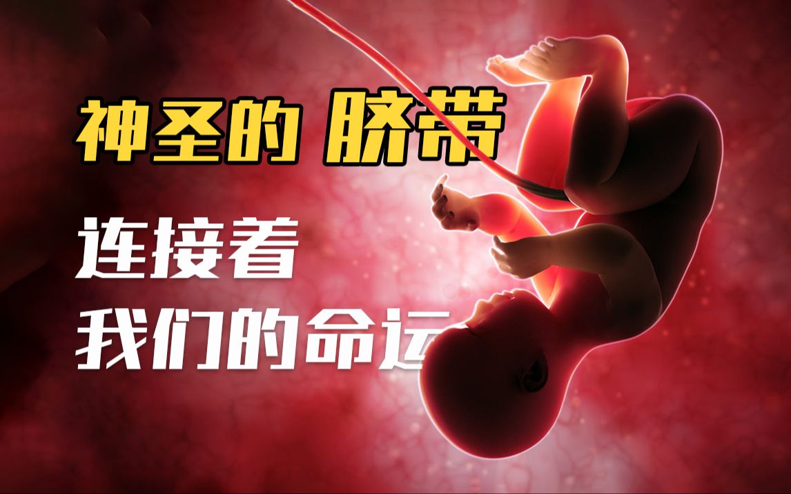 胎生的起源：神圣的脐带如何连接我们的命运