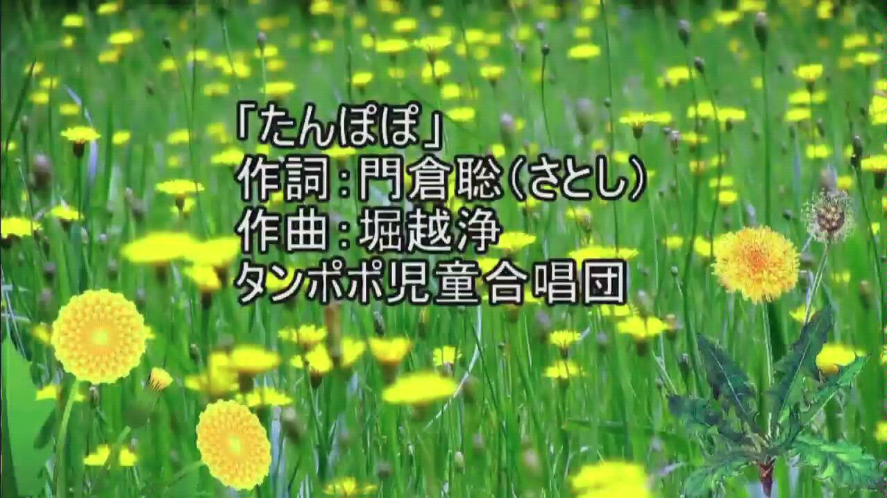 日本儿歌：たんぽぽ （蒲公英）