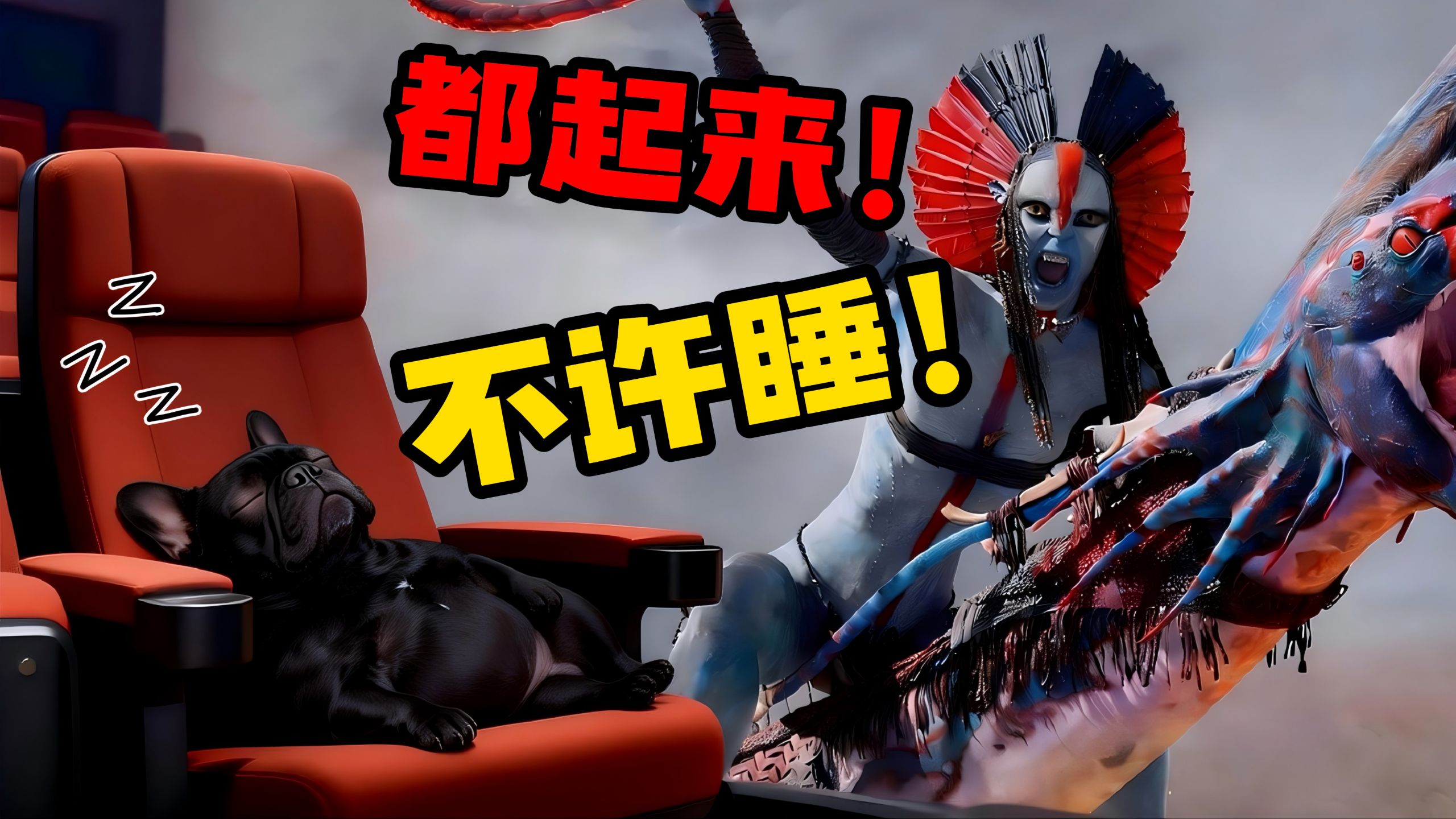 【四毛】阿凡达3：睡觉与憋尿