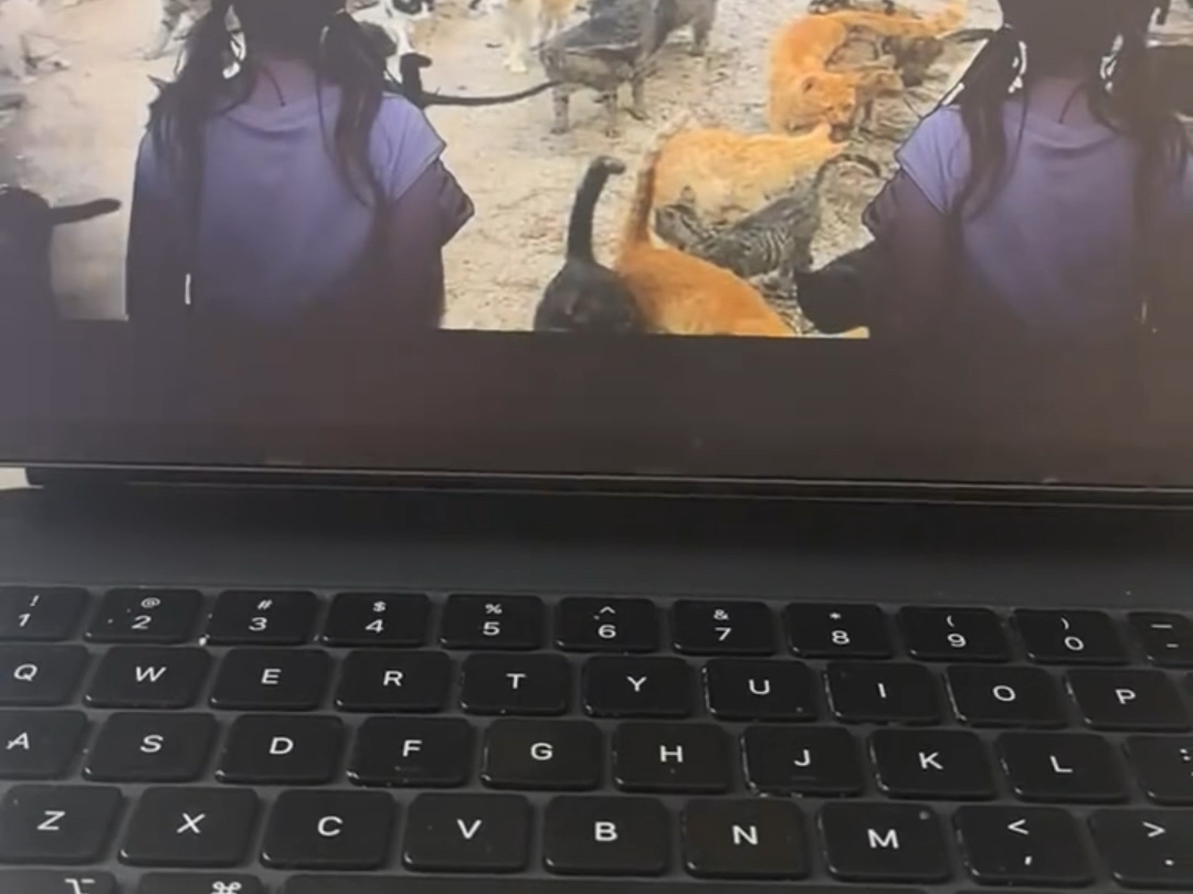 毒文化入侵！！！这就是AJ趣味英语！还在直播！3980赚了中国人的钱还祸害中国的孩子们！希望国家教育部早出政策，让这种毒瘤滚出中国！不要再祸害中国的孩子们！