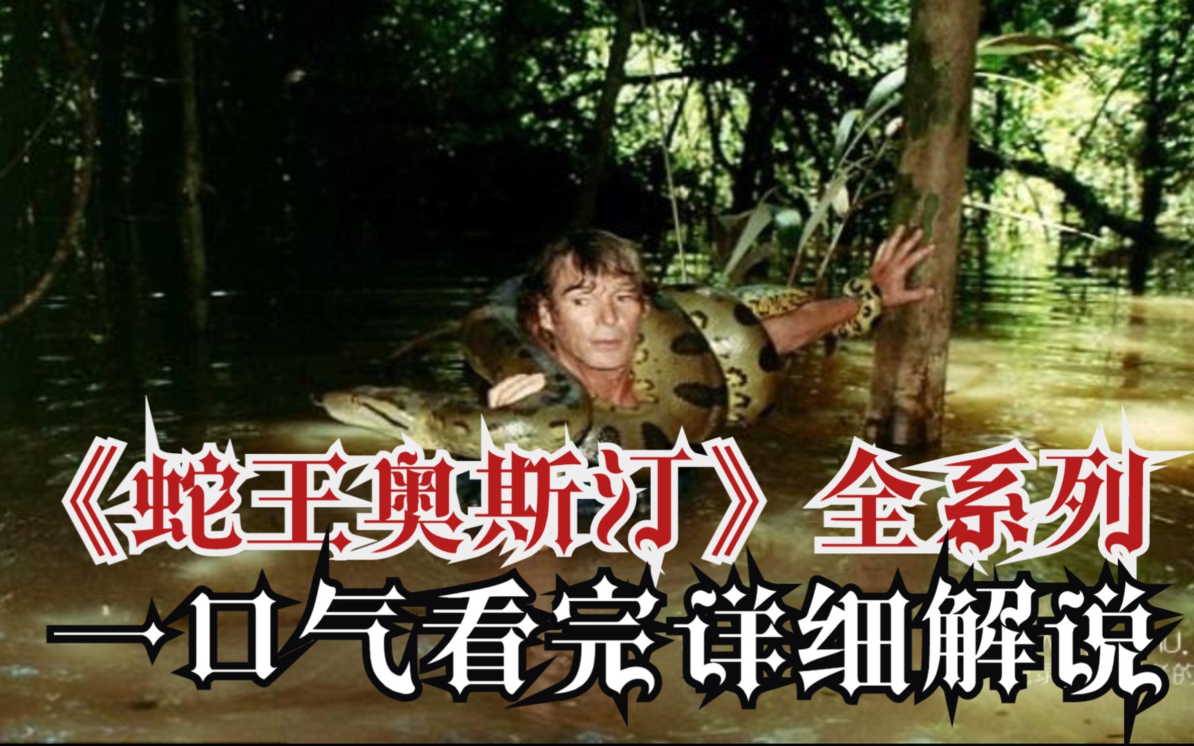 一口气看完《蛇王》奥斯汀·斯蒂文斯全系列！爆肝4小时W字！全网最详细观看顺序！超高清（4K）详细解说！