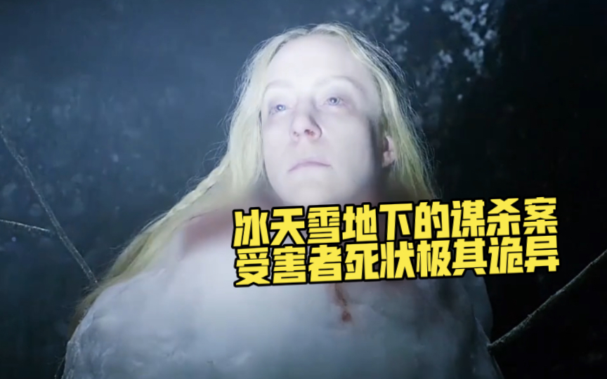 冰天雪地下的谋杀案，受害者死状极其诡异《雪人》