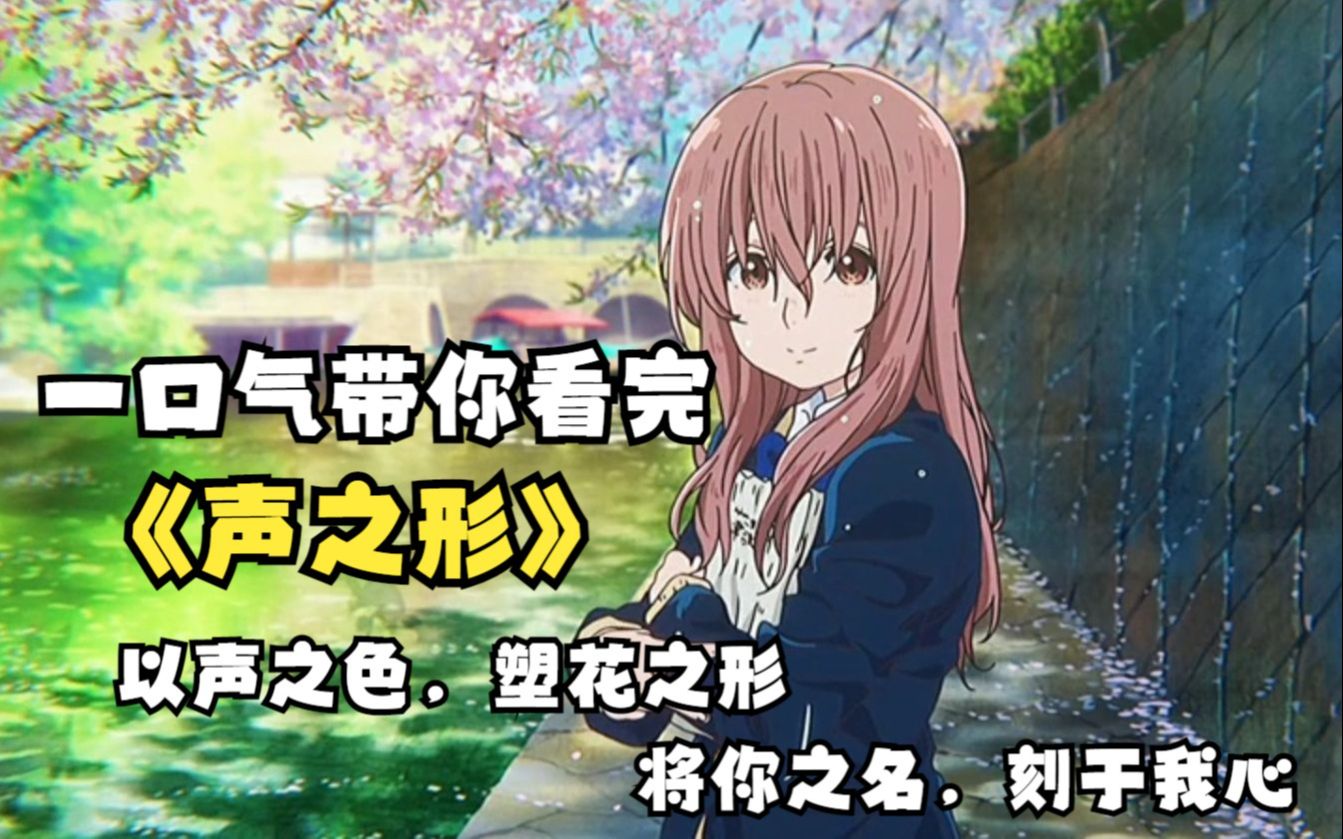 一口气带你看完《声之形》以声之色，塑花之形，将你之名，刻于我心