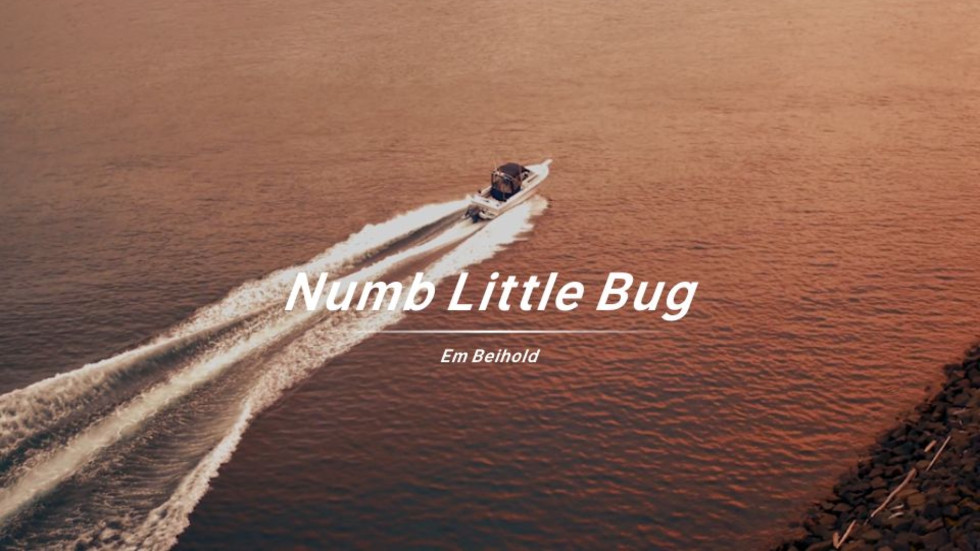 Do you ever get a little bit tired of life？《Numb Little Bug》