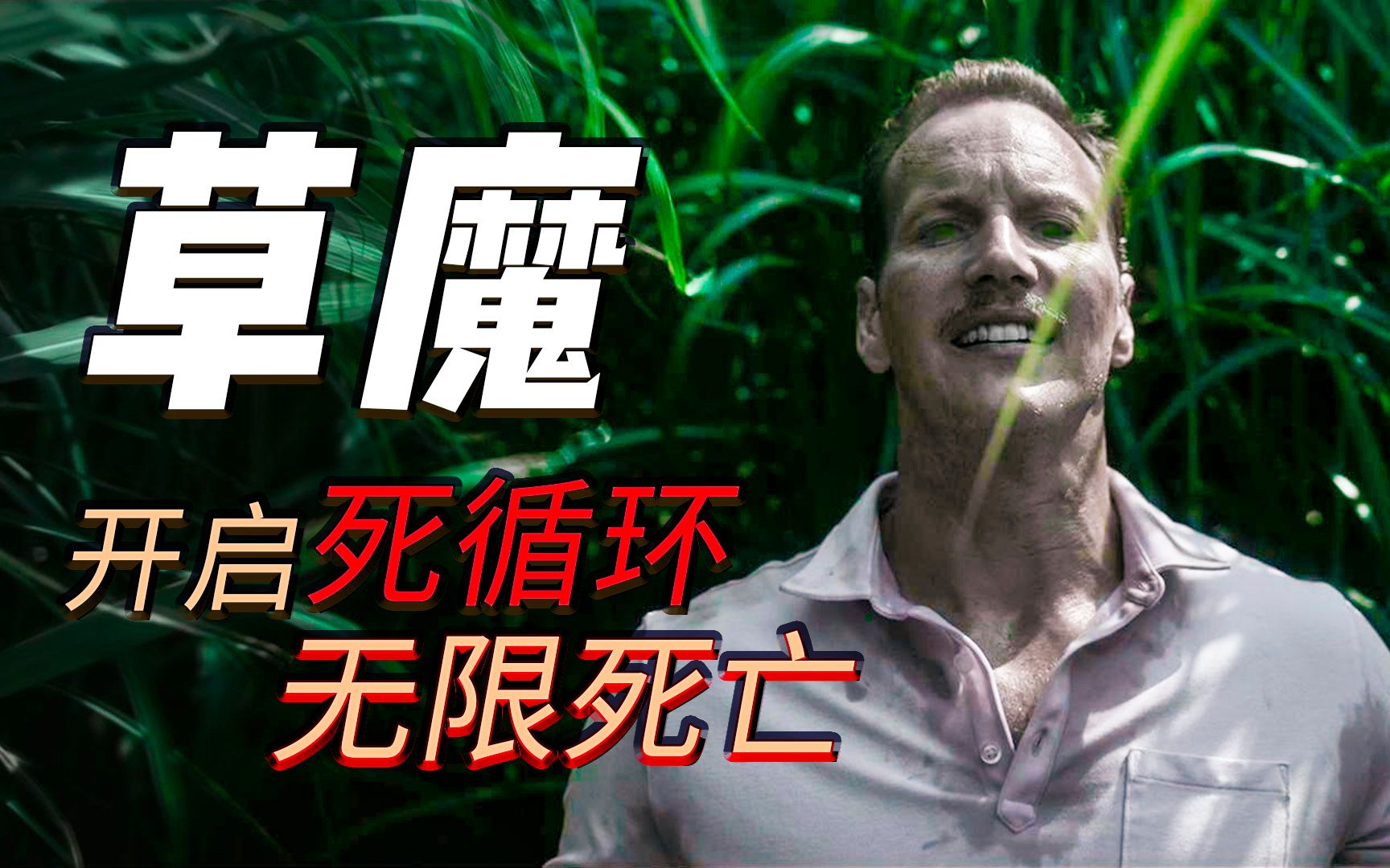 值得看好几遍的恐怖片，每看一遍都有新发现，被低估的烧脑神作《高草丛中》