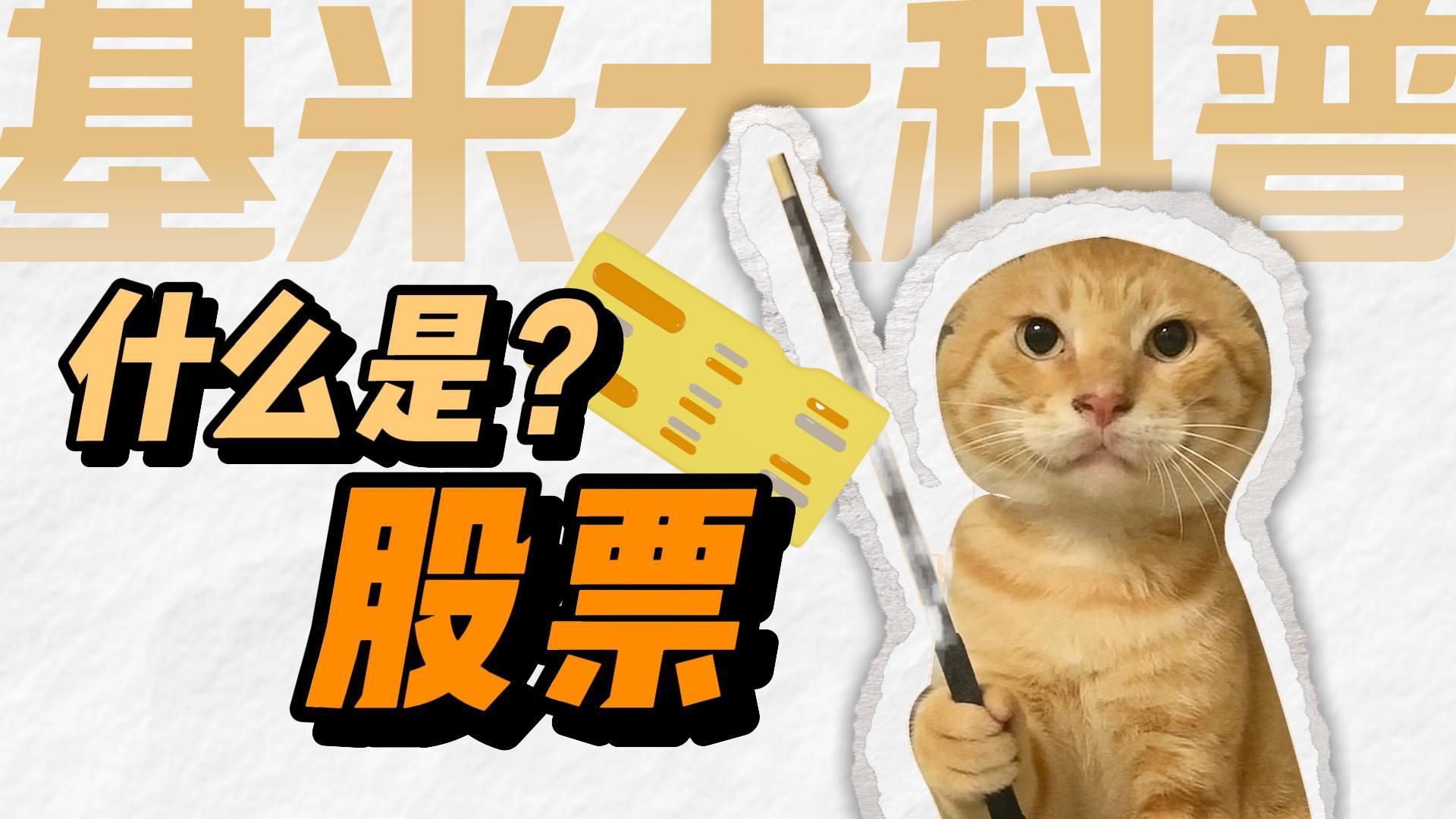 什么是股票？