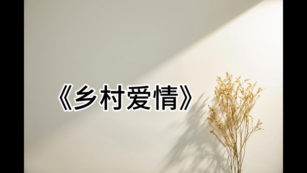 《乡村爱情》1-18部片头曲