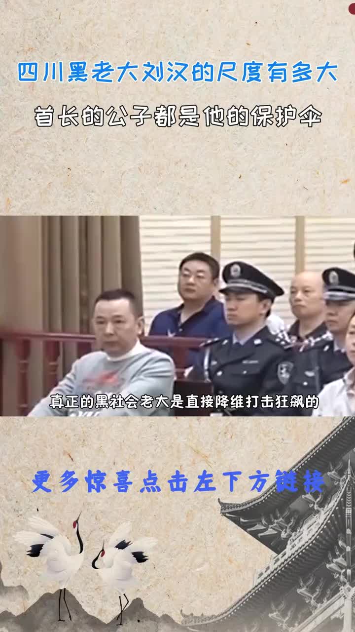 六年都不过审的国家行动，涉及的人员太多太广了#国家行动  #反贪  #扫黑  #书籍推荐  #张译