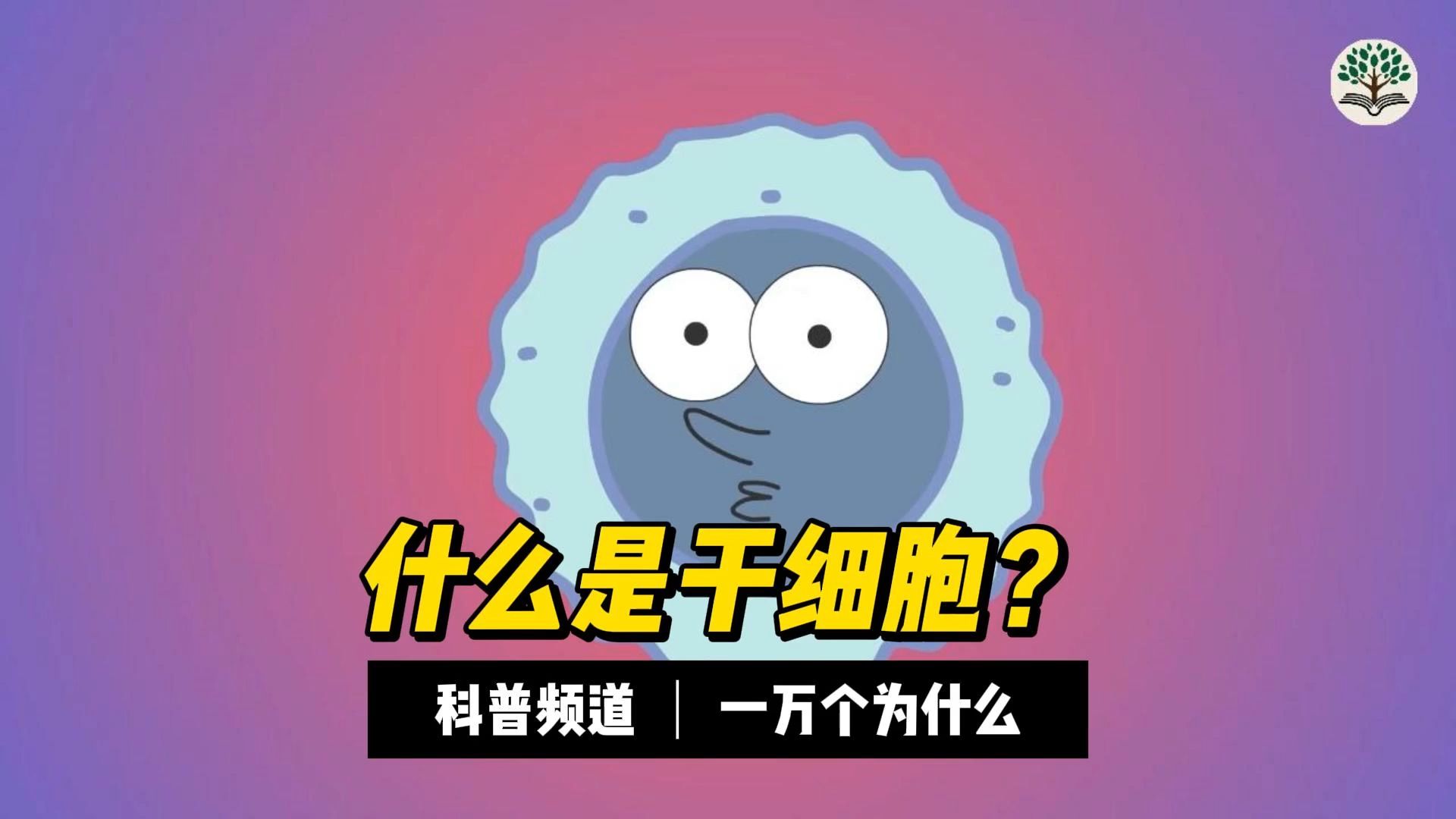 什么是干细胞？干细胞有什么用？