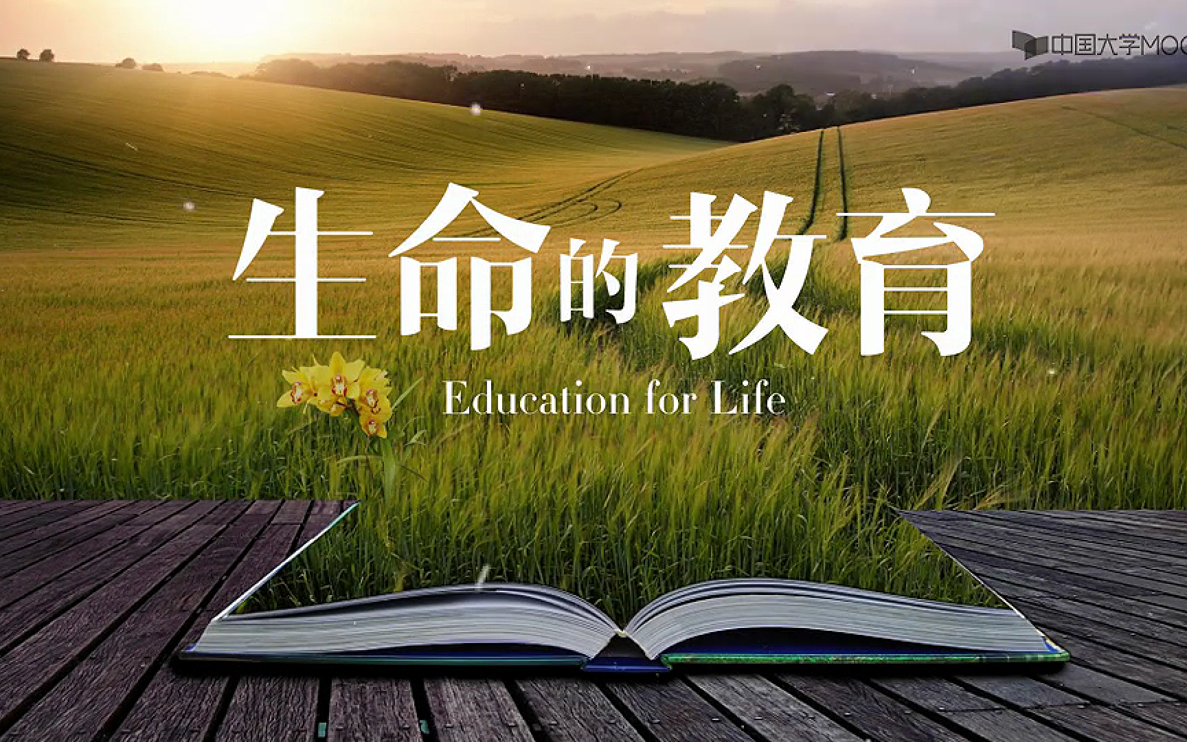 【公开课】生命教育，生命的意义，生命的独特、生命的脆弱，生命的顽强，生命的呵护，生命的和谐，生命的责任，生命的价值，感恩的心，生命的进化