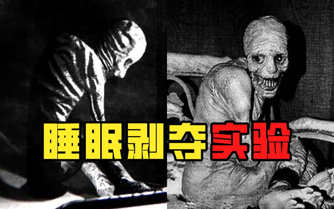 苏联睡眠剥夺实验改编恐怖游戏，5人连续30天不睡觉，看完后你还敢熬夜么？