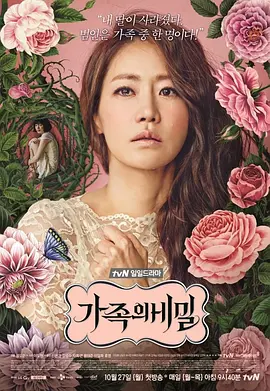 家族的秘密 가족의 비밀海报
