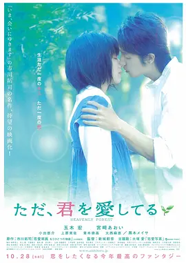 只是爱着你 ただ、君を愛してる海报