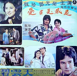 爱在夏威夷 愛在夏威夷海报