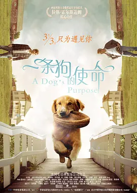 一条狗的使命 A Dog's Purpose海报