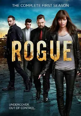 卧底情劫 第三季 Rogue Season 3海报