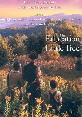 小树的故事 The Education of Little Tree海报
