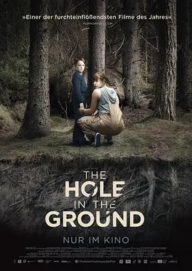 地面之洞 The Hole in the Ground海报