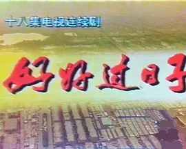 好好过日子海报