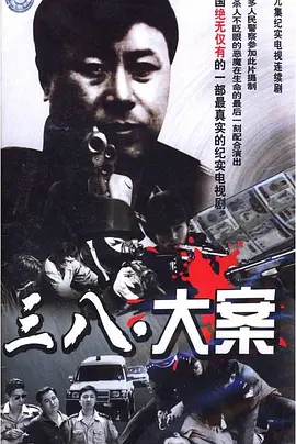 3·8大案海报